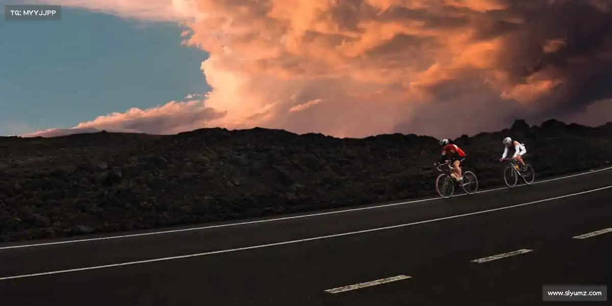 行业领先的理由